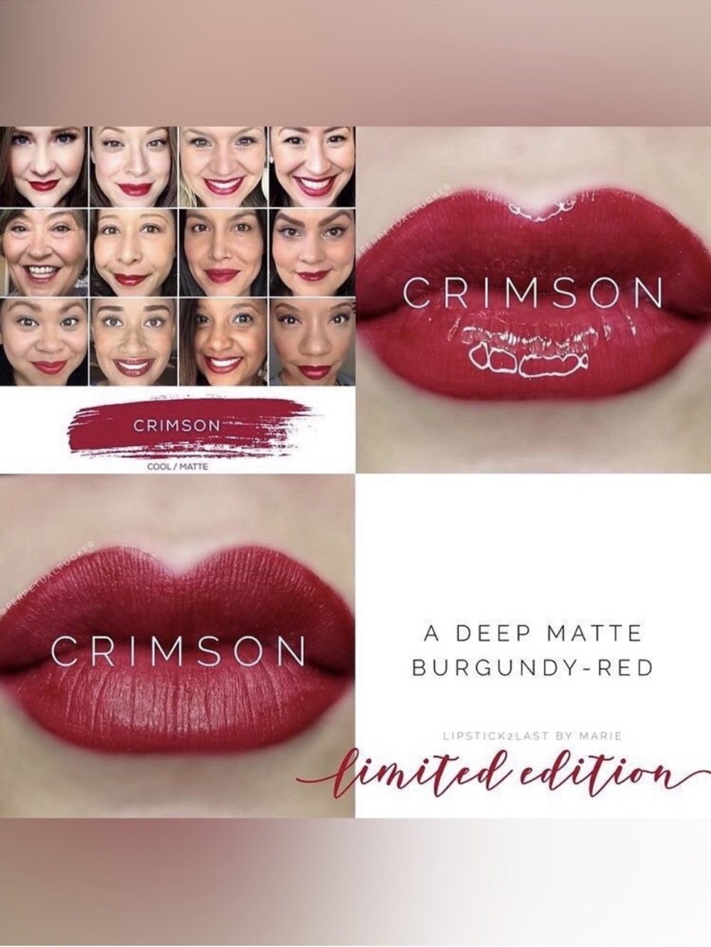 LipSense Crimson Burgundy-Red Matte Lipstick